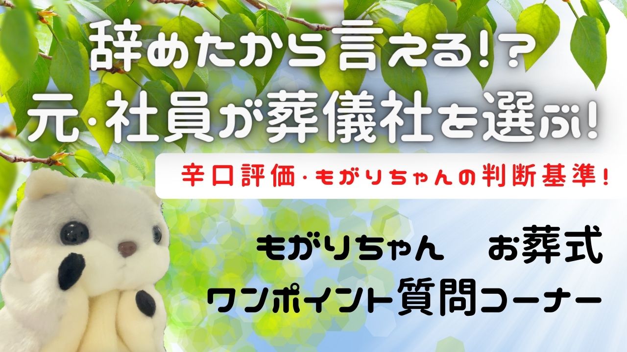 もがりちゃんの葬儀社選び