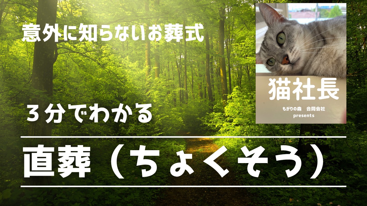 YouTubeを始めました
