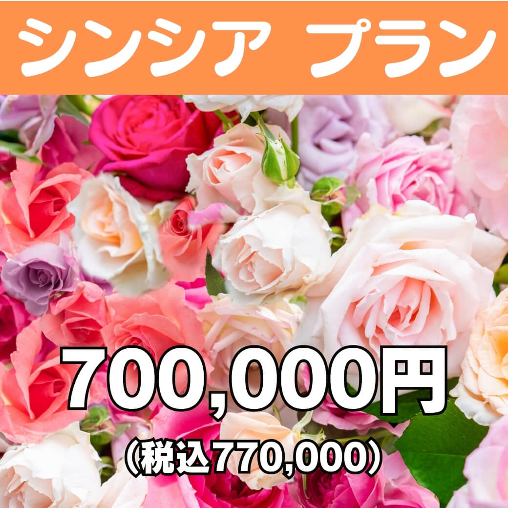 シンシアプランバナー　R7年06月から