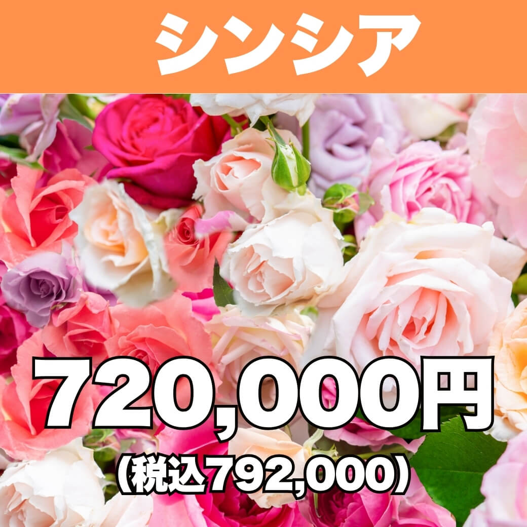 シンシアプランバナー R8年02月