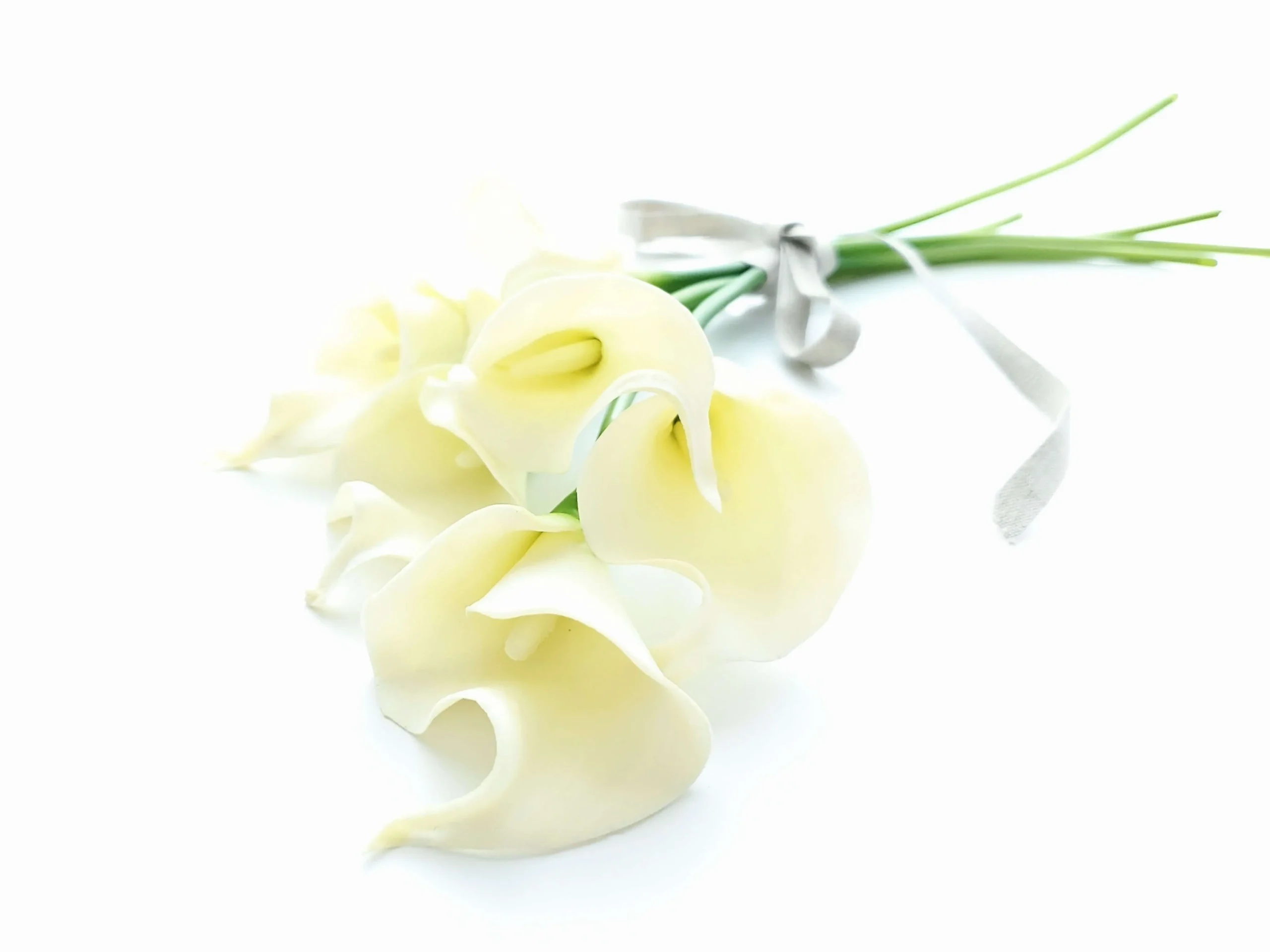 背景用画像（カラー）